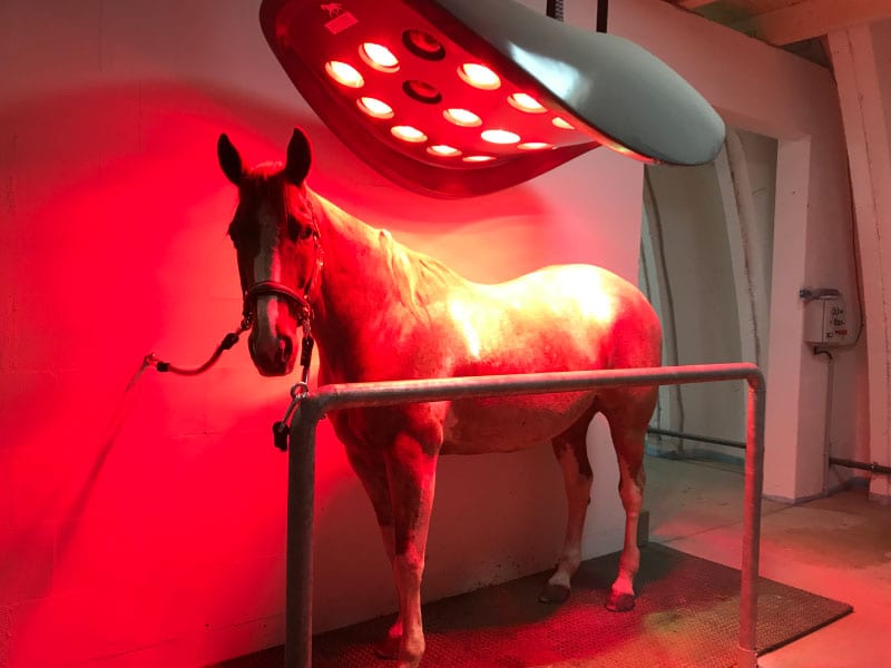 Solarium-800x600-2